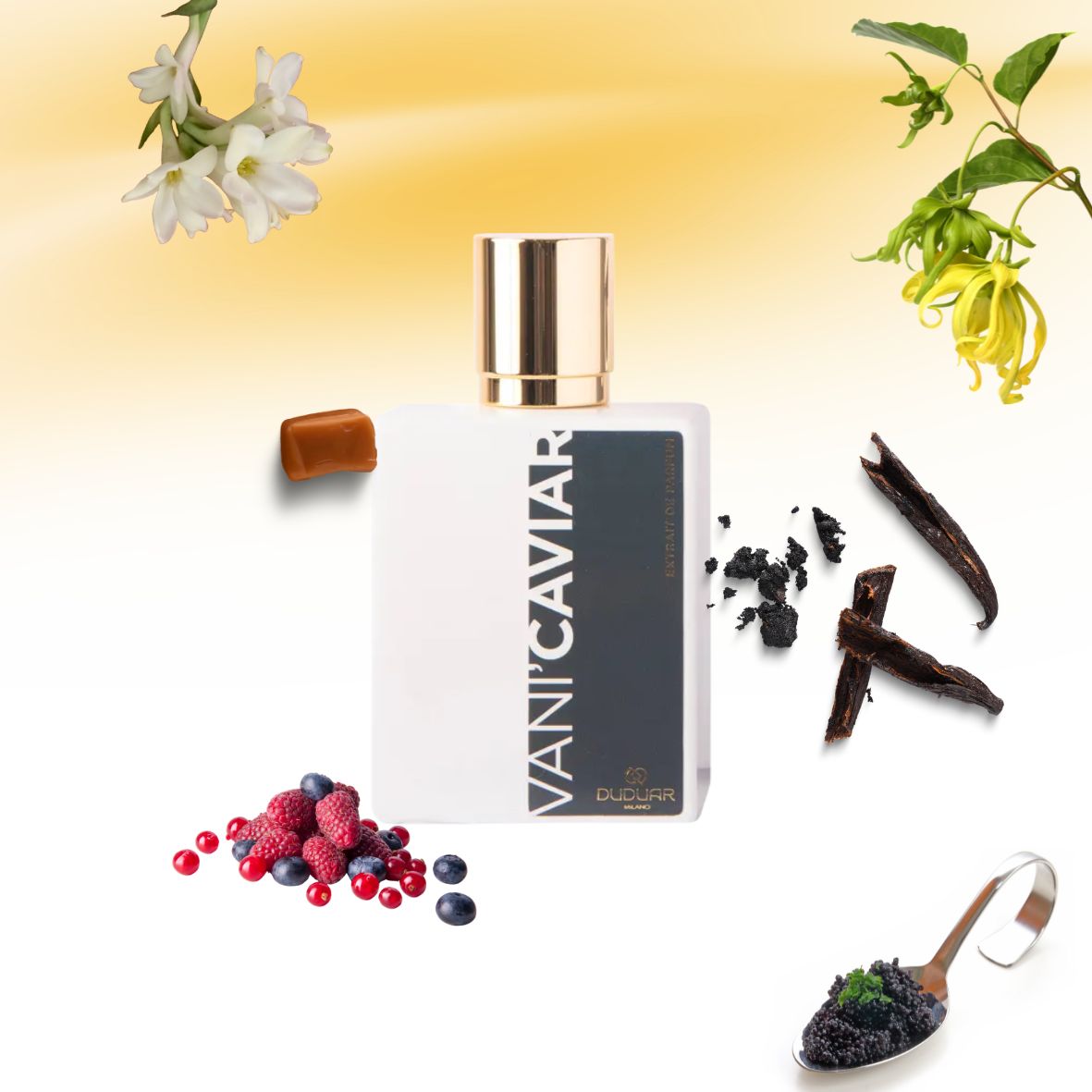 Duduar - Vani' Caviar - Extrait de Parfum
