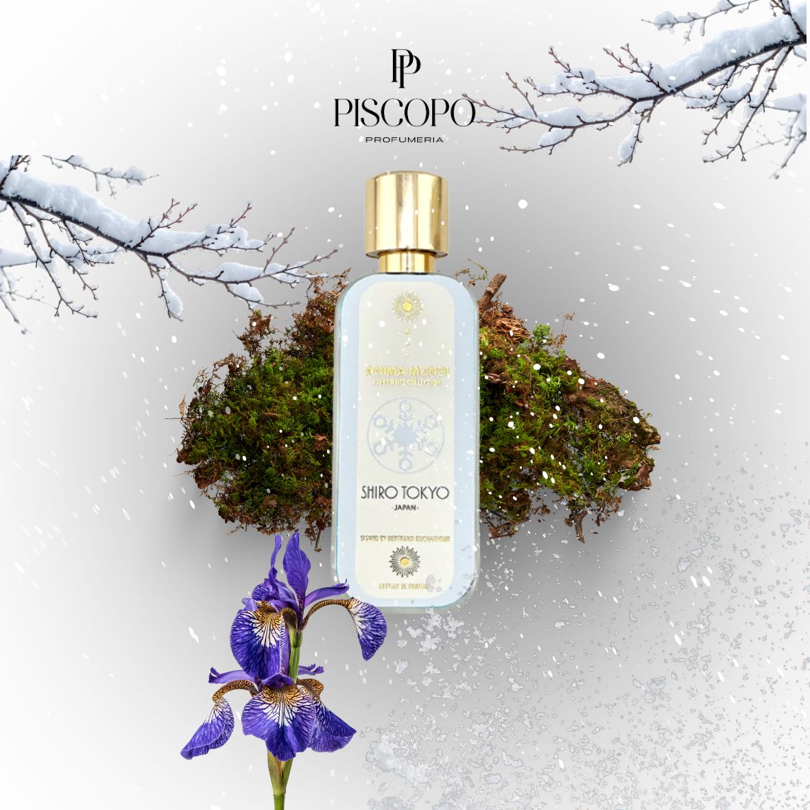 Anima Mundi - Shiro Tokyo - Extrait de Parfum