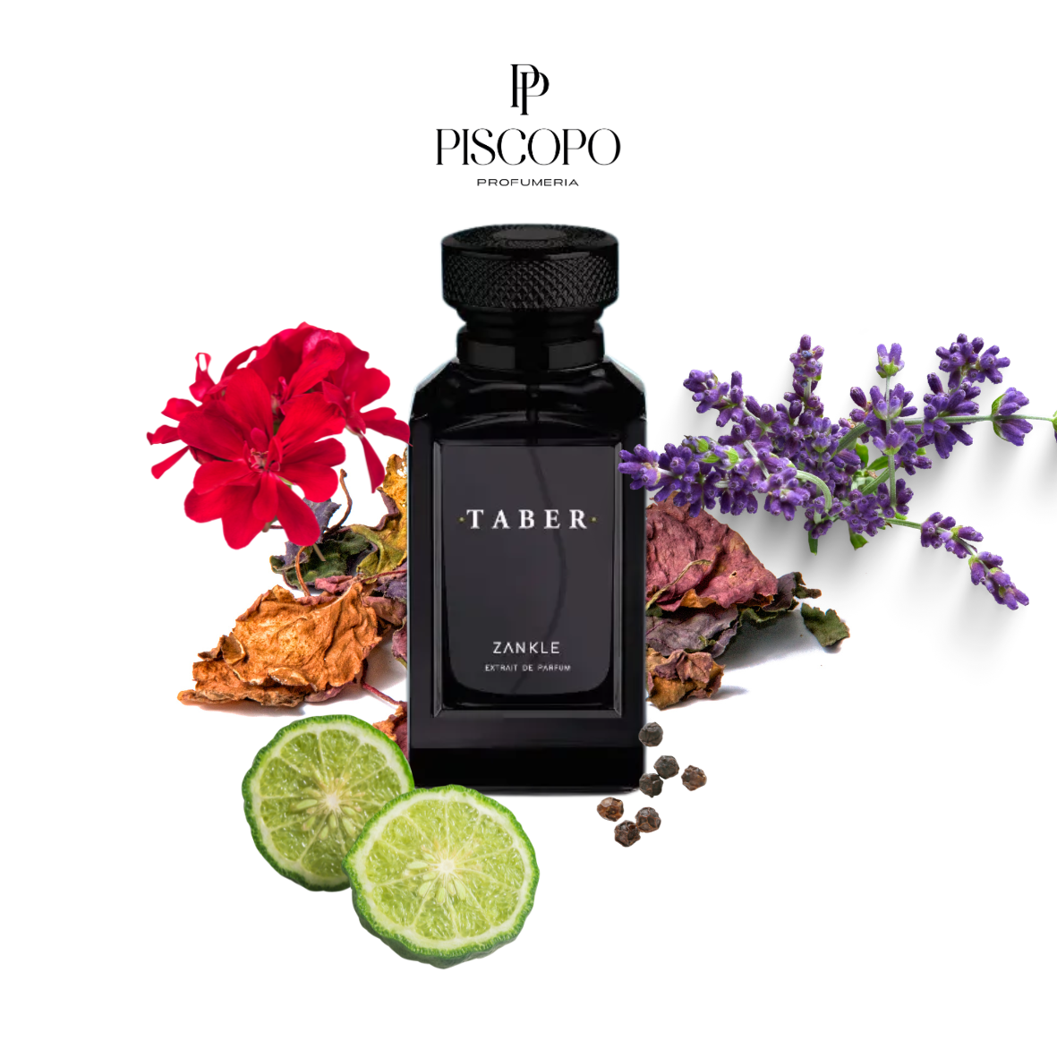 Taber - Zankle - Extrait de parfum