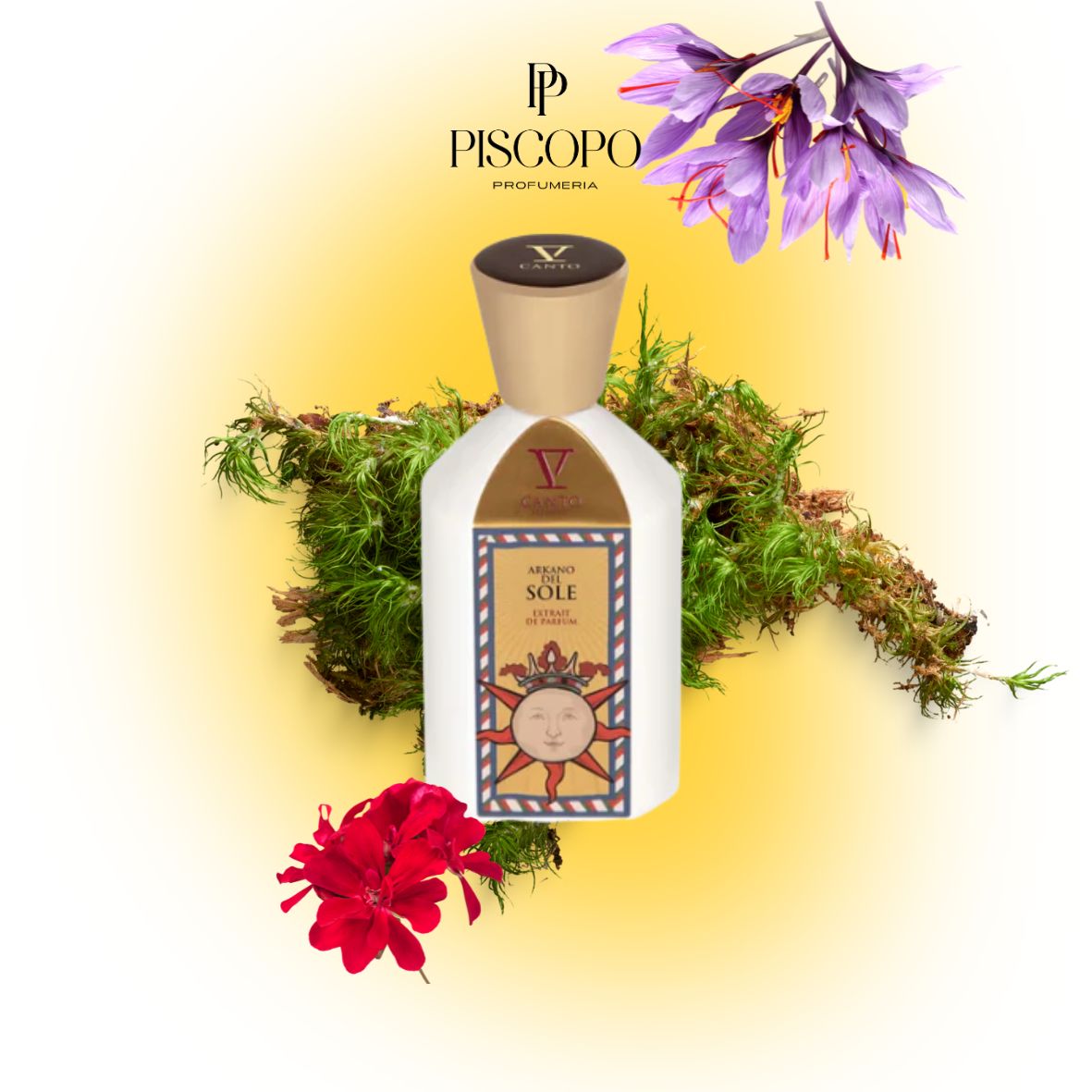 V Canto - Arkano Del Sole - Extrait De Parfum