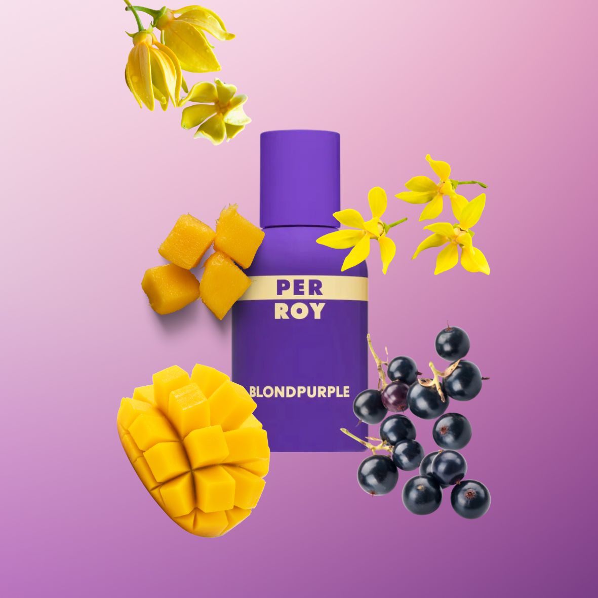 Perroy - Blondepurple - Eau de parfum