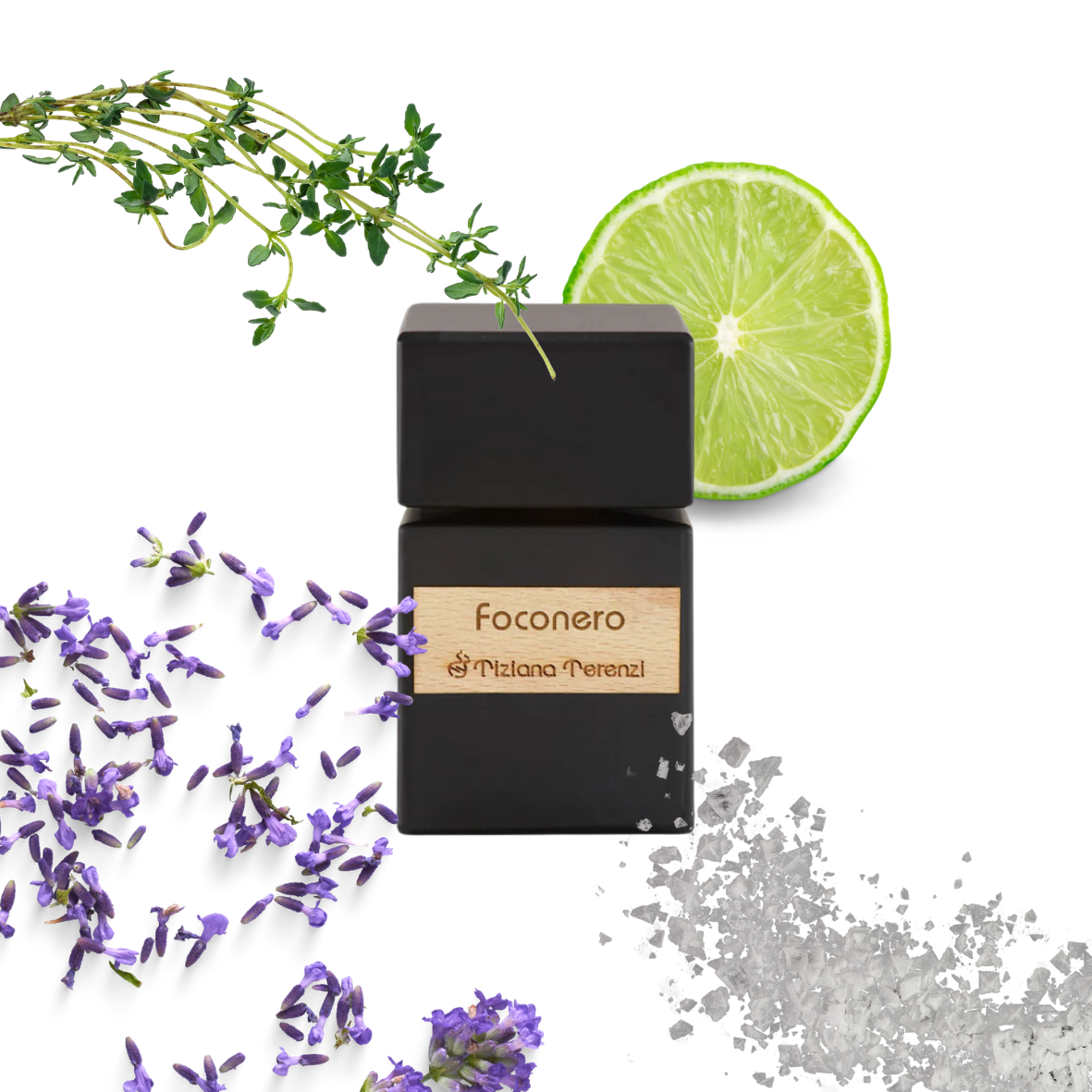 Tiziana Terenzi - Foconero - Eau de parfum